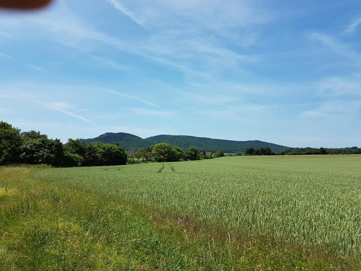 La Fontana Hotel Langelsheim Bagian luar foto